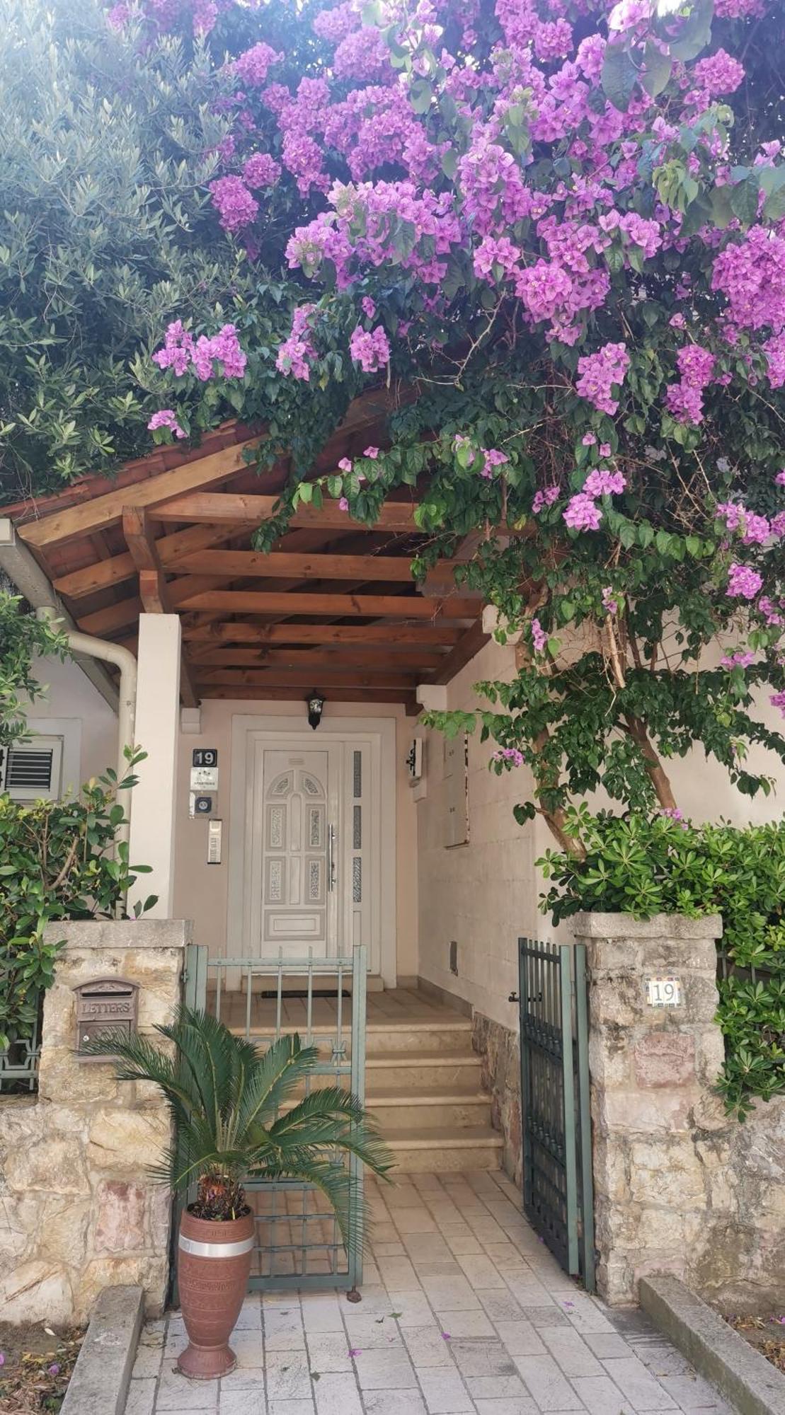 Apartments Maris Petrovac Exterior foto