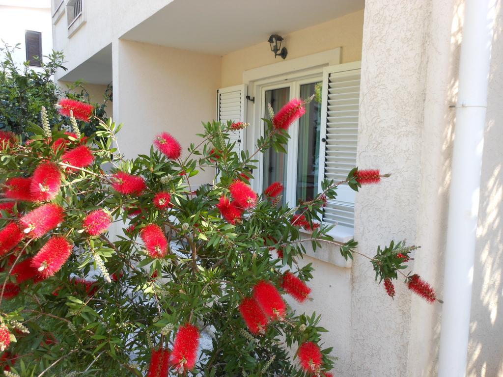 Apartments Maris Petrovac Cameră foto
